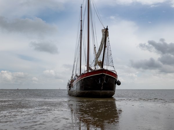 Eenhoorn