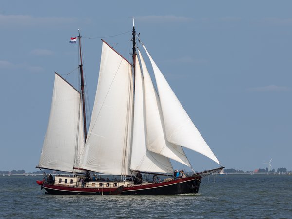 Eenhoorn