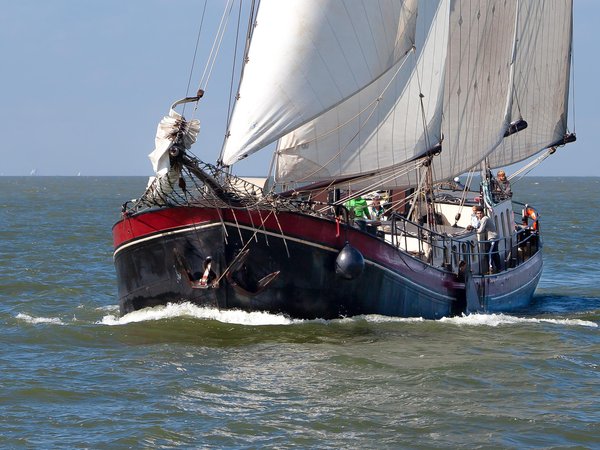 Eenhoorn