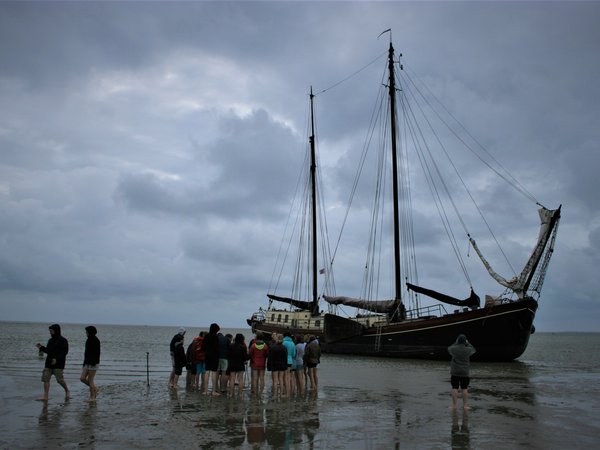 Eenhoorn