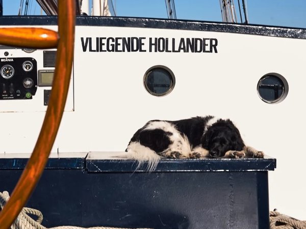 Vliegende Hollander
