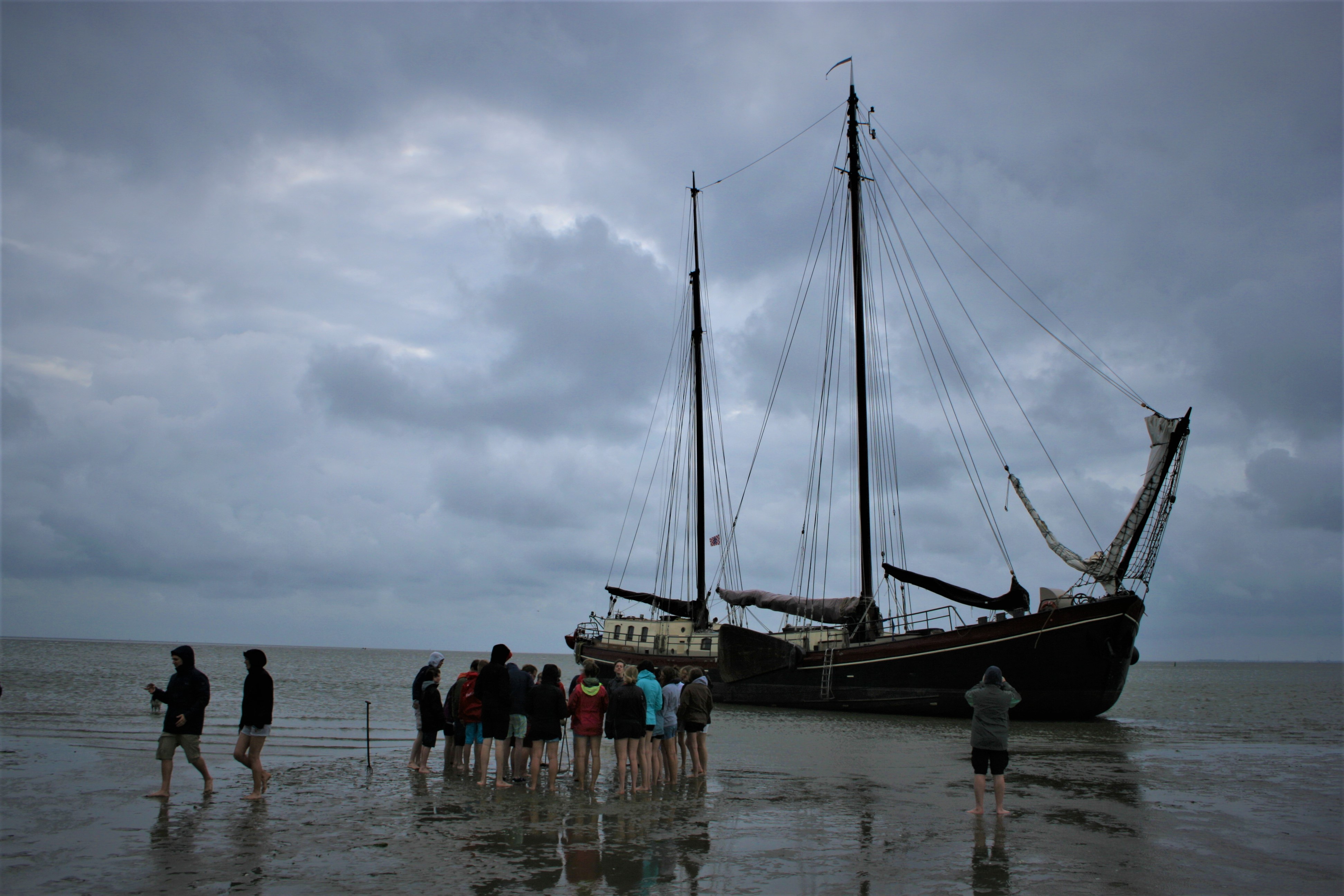 Eenhoorn