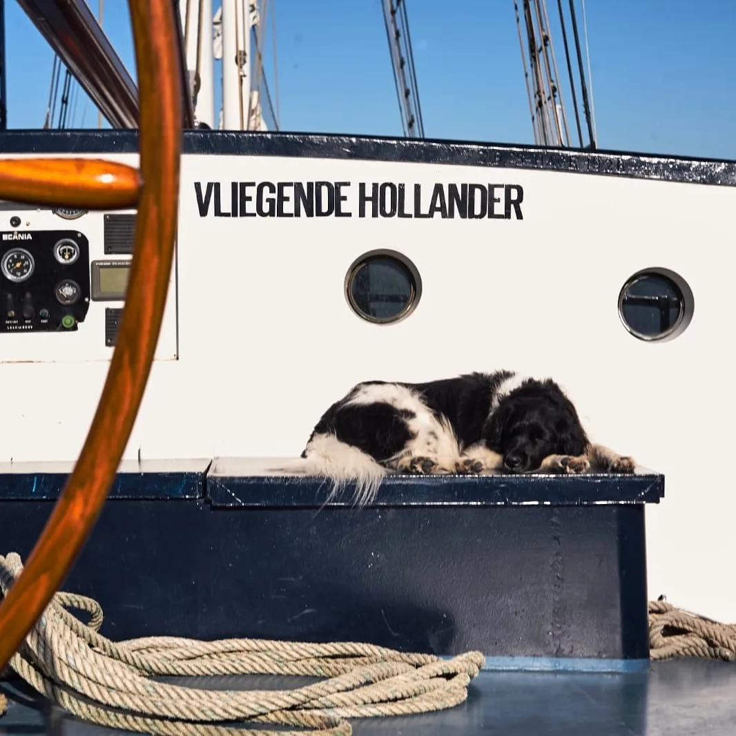 Vliegende Hollander